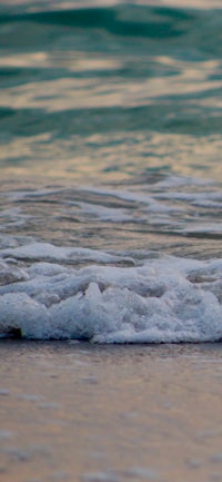 a bird is standing on a surfboard in the ocean